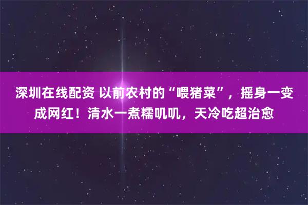 深圳在线配资 以前农村的“喂猪菜”，摇身一变成网红！清水一煮糯叽叽，天冷吃超治愈