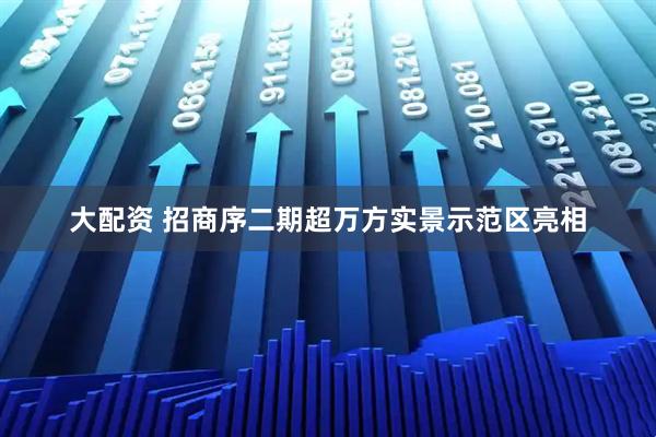 大配资 招商序二期超万方实景示范区亮相